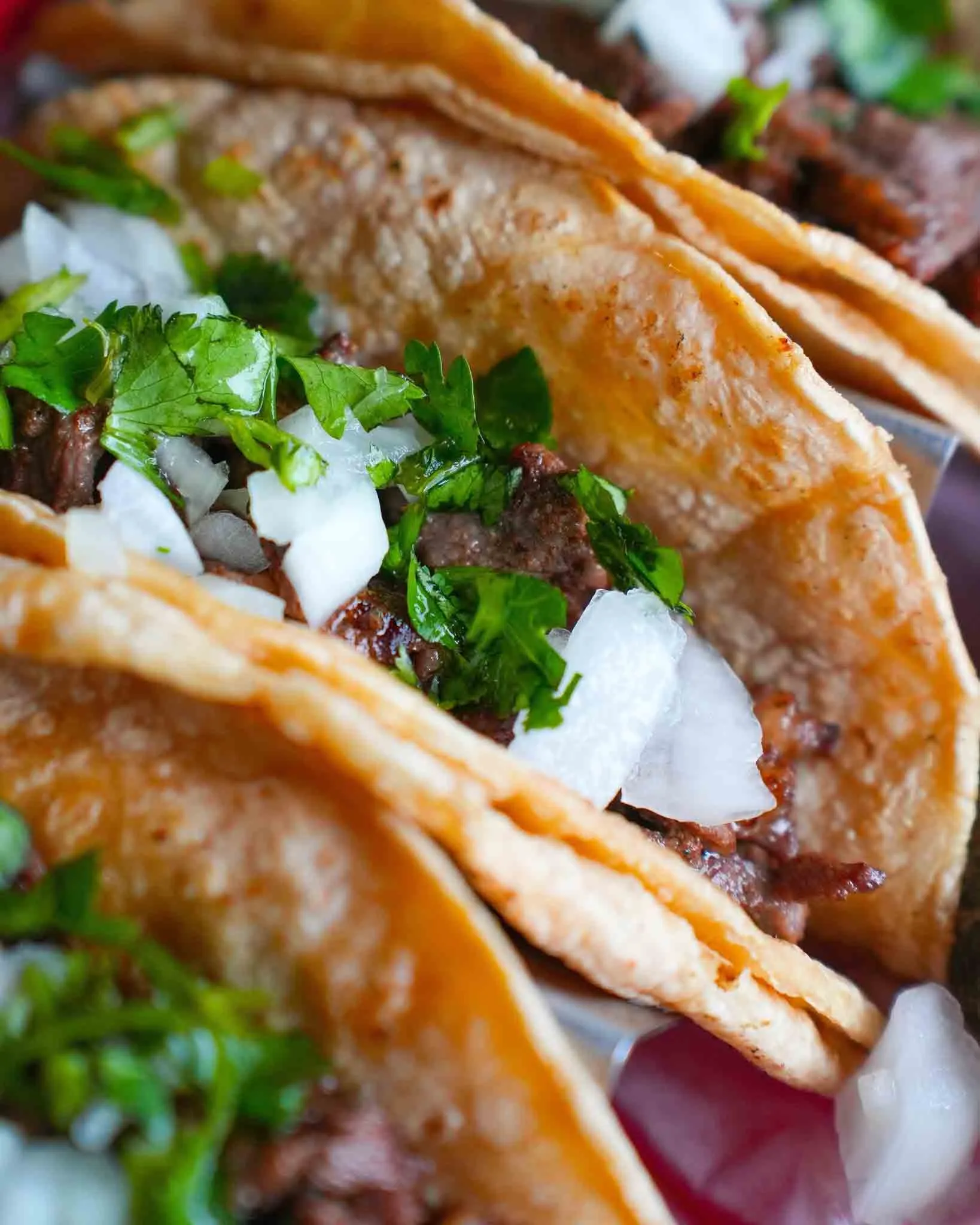 Asada from the Taqueria menu at Salsas Cocina Baymeadows in Jacksonville