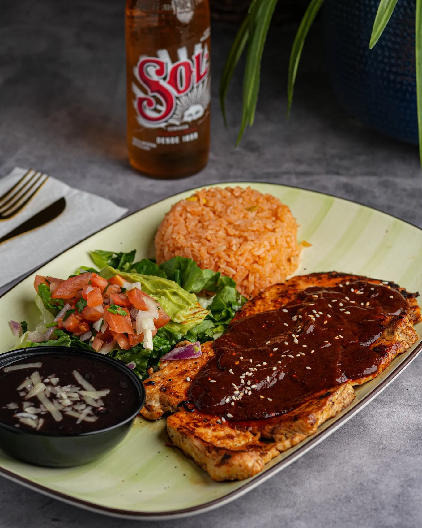 Mexican Mole at Salsas Cocina | Baymeadows