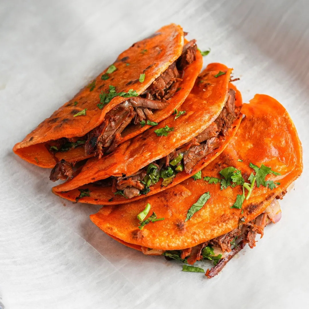 Birria from the Taqueria menu at Salsas Cocina Baymeadows in Jacksonville